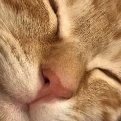 なおゆき