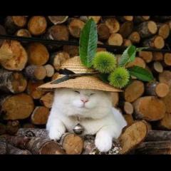 ラッキーセブン