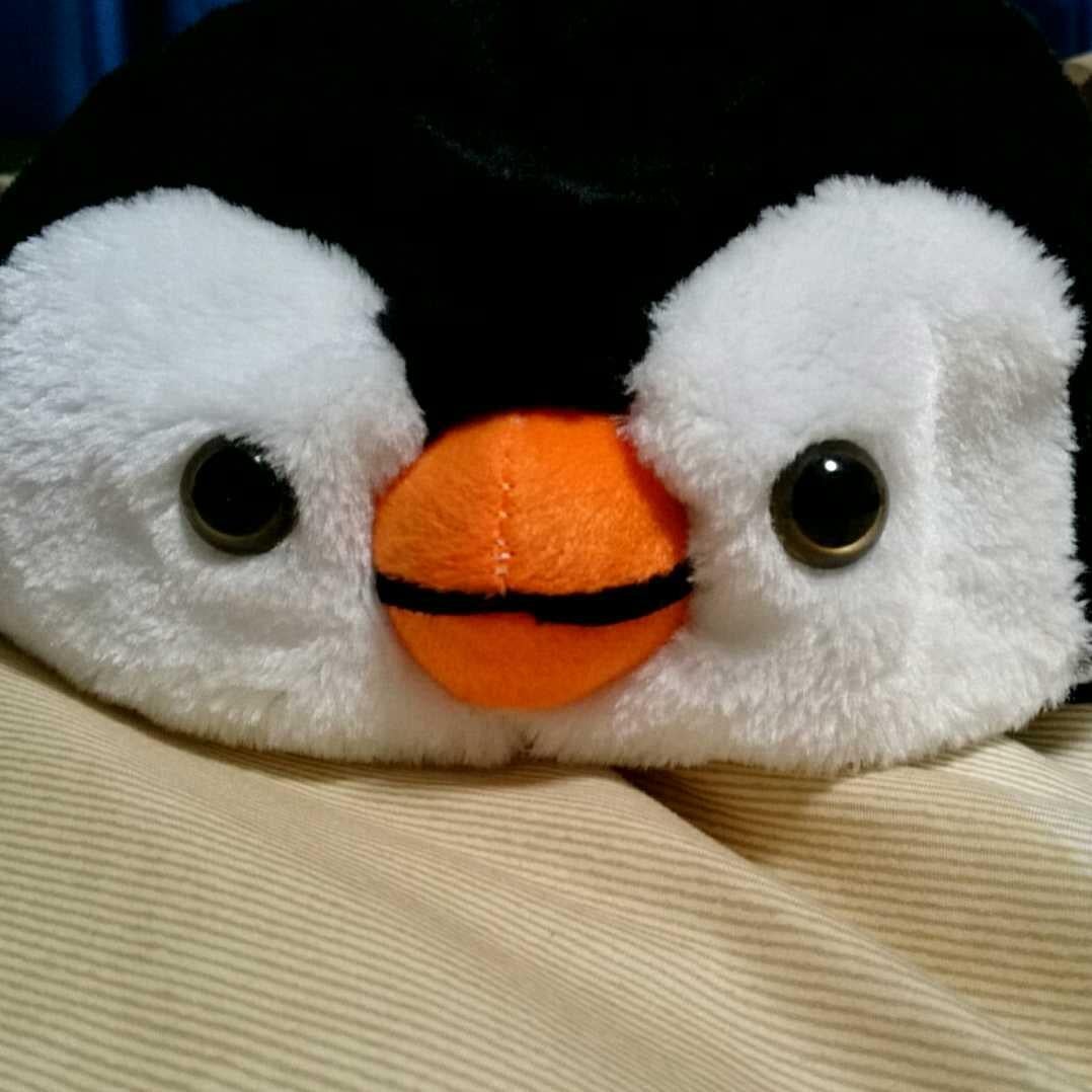 ふじペンギン