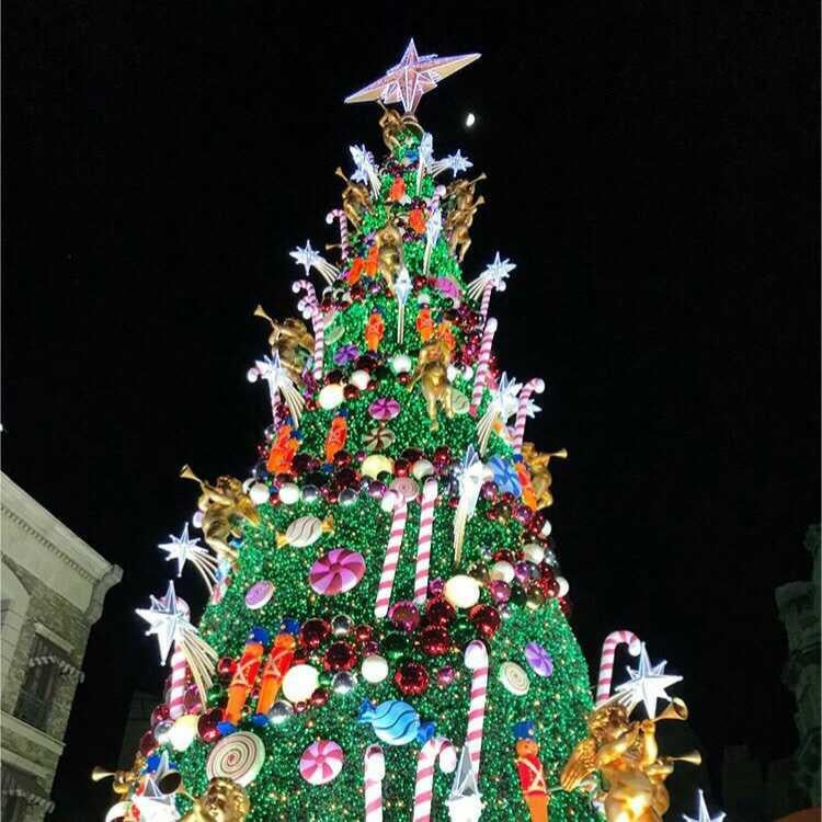 学生服の太郎のトーク