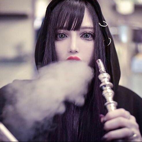 🐱