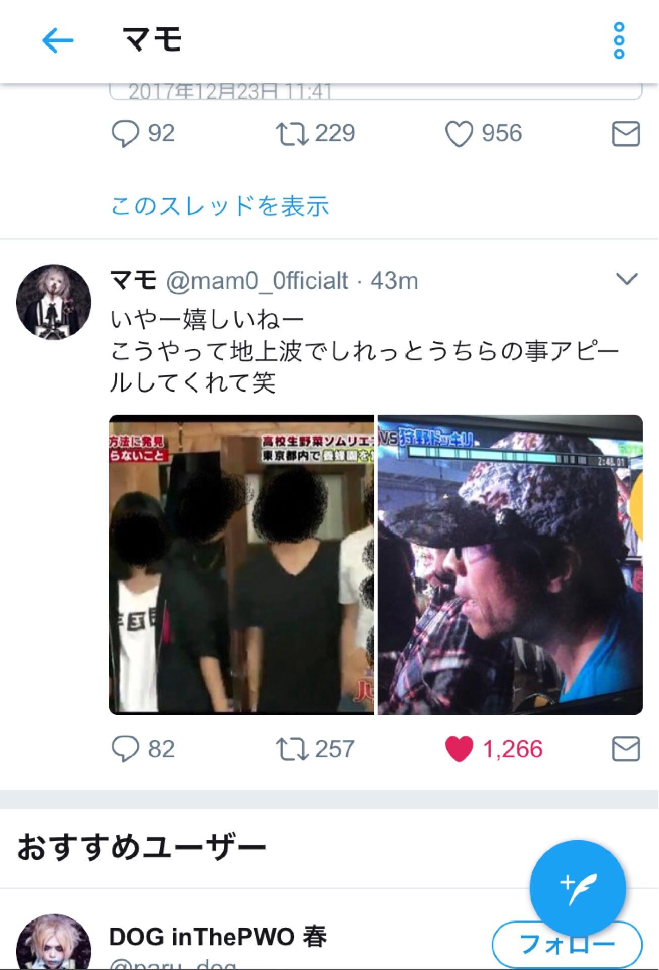 投稿画像