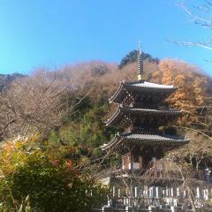鈴木で行こう