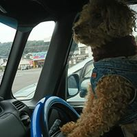 優        太のトーク