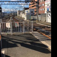 ラムかさ