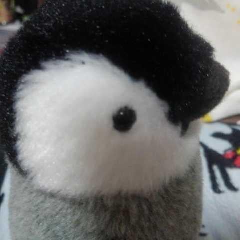 さくらんぼみかん