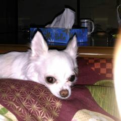 ゾンビおぐ😱とはげとクソババア❄とまっぱ族