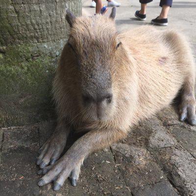 アスカ