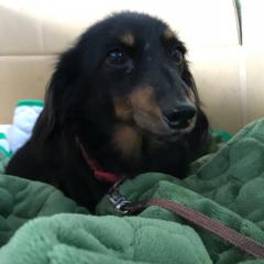 トモヒロ