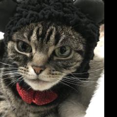 ひろっち