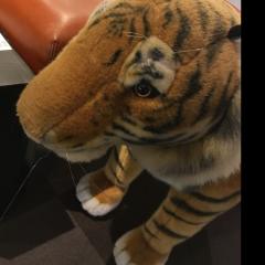 てつ