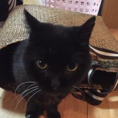 木舩律紀のトーク