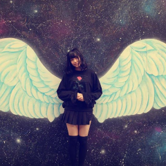 すみれん