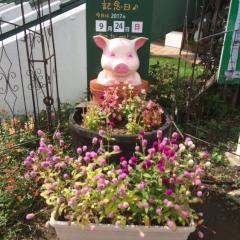 ♡ペコリン♡のトーク