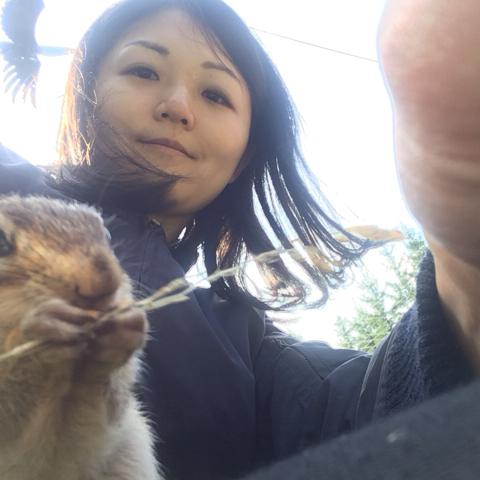 ありさわまゆこ