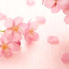 ☺︎✿❀みほ❀✿☺︎