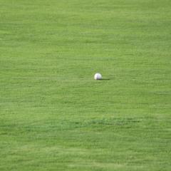 な ほ の と ー く