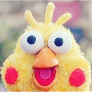 日比颯汰のトーク