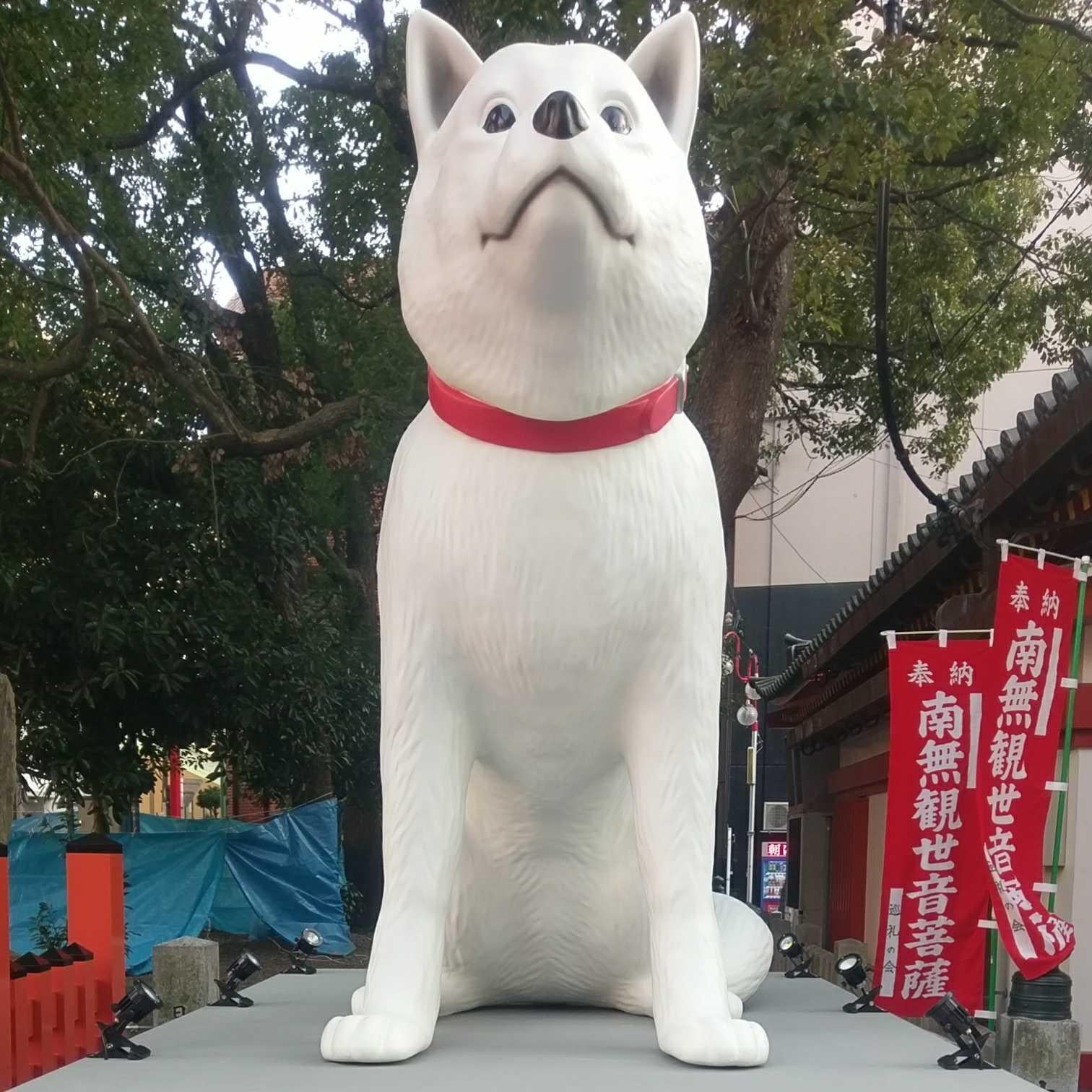 🍓ぬらりひょんきち🐨