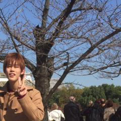 かわばたともひろ