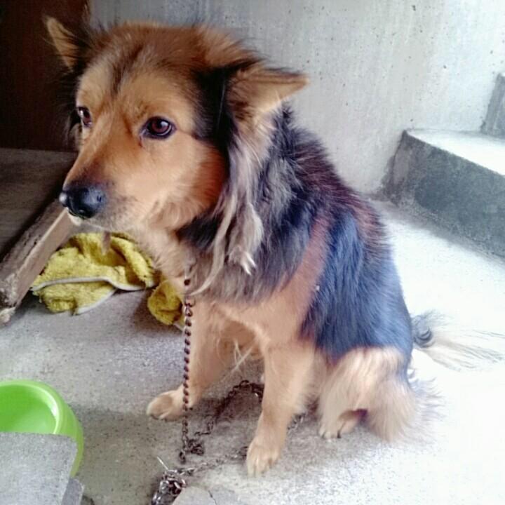 まゆりんのトーク