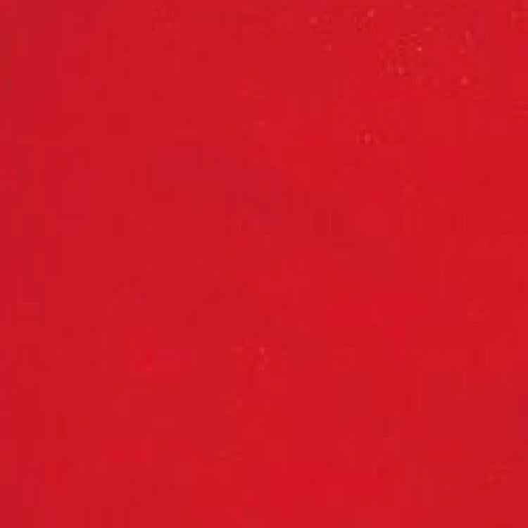 フランスの白い薔薇