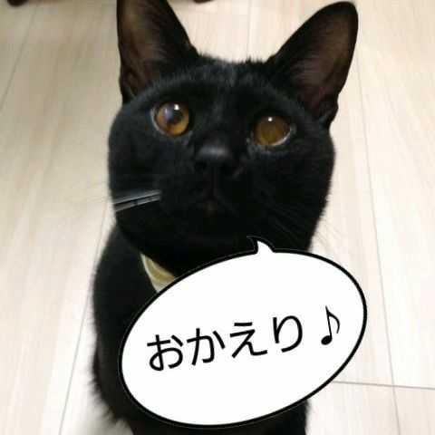 森保まどかリブ格納倉庫