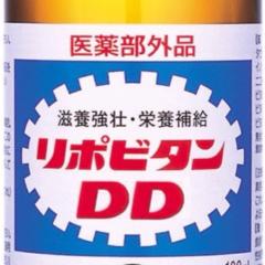 サンフィッシュのDDトーク