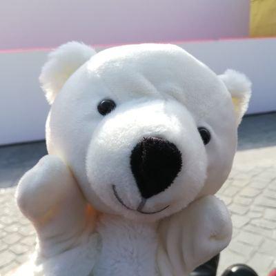 くま🐻のトーク