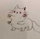 アクア（・ω・）