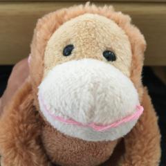 みんみんのトーク