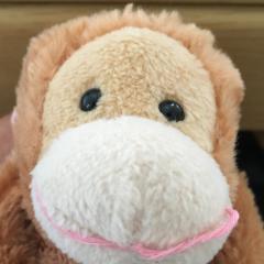 みんみん