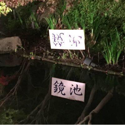 かげ⊿のトーク