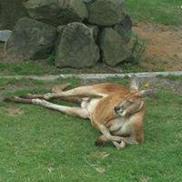 堺真弓のトーク