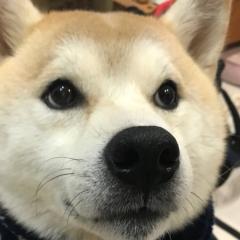 KEITA⊿