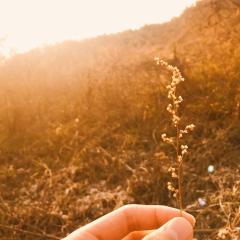 ま+さみかん♫🍊@PUBGフレ