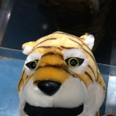 アリスのおじさん
