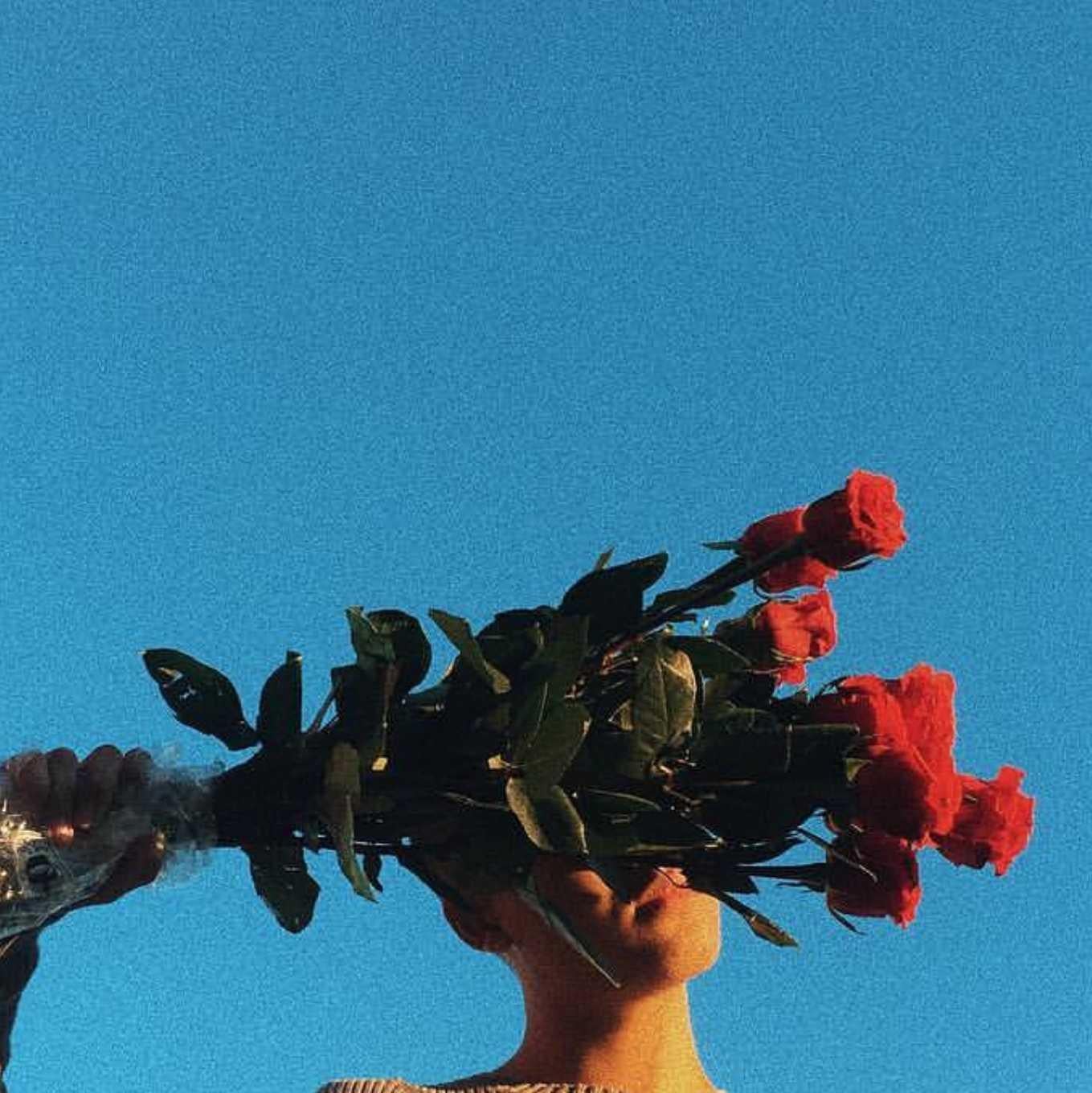 🌻🌻ななみ🌻🌻