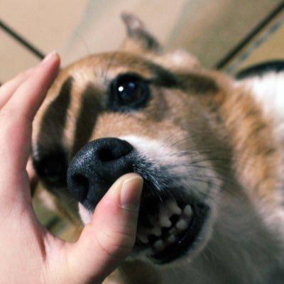 たけち