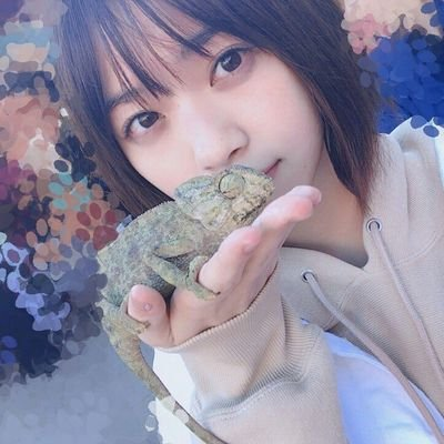 音速のナナ