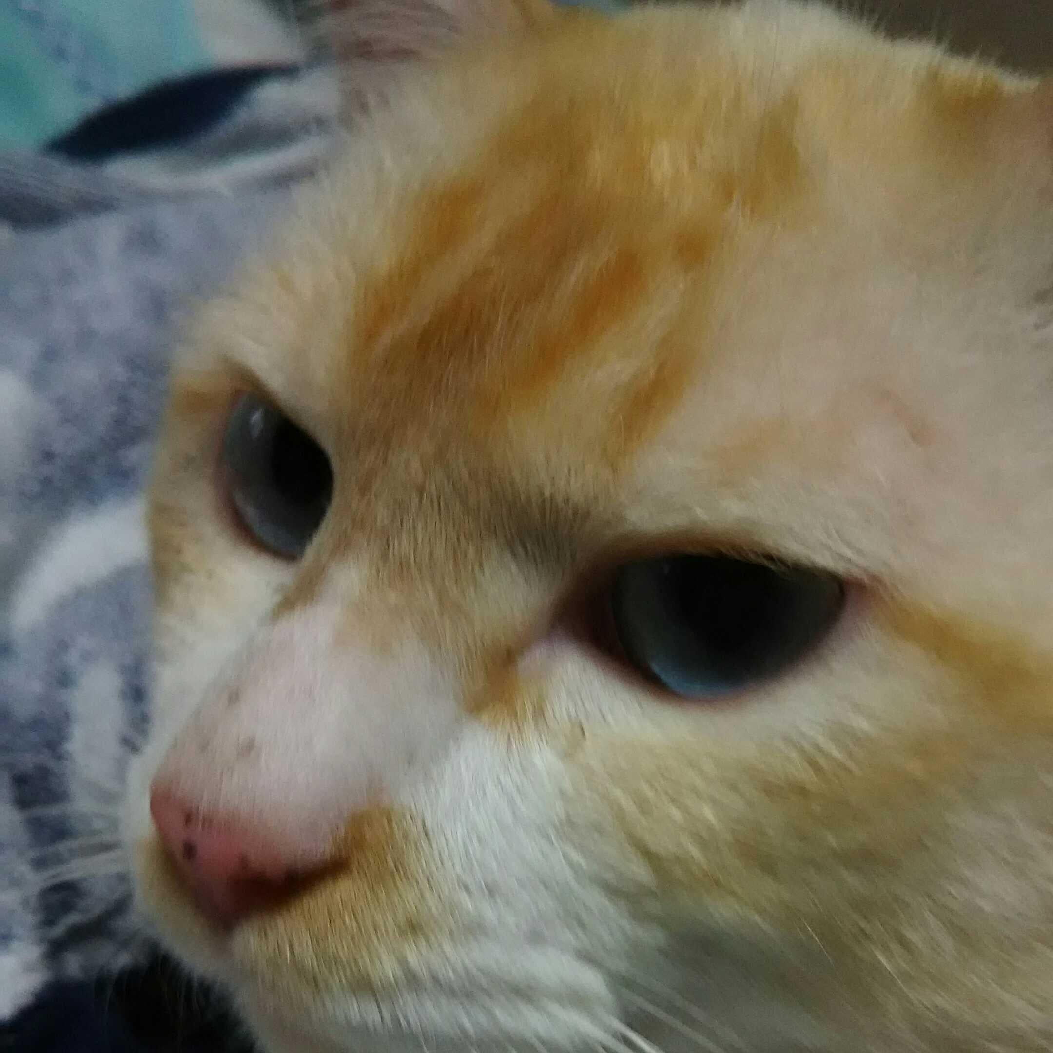 はるな😁