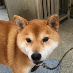 村場小湖