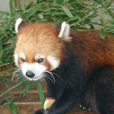 宇治原賢のトーク