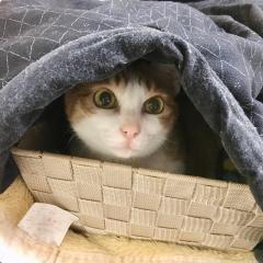 ゆうちゃん