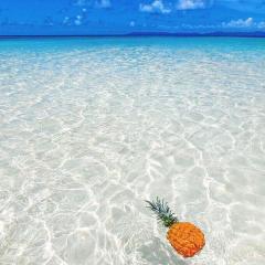 ✿フリートーク✿