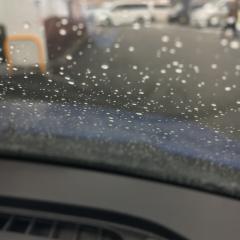 まなぶのトーク