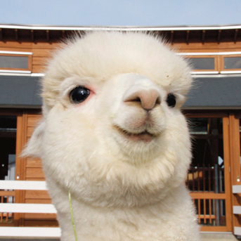 ﾑｯﾁｬ=ｽｷｰのトーク