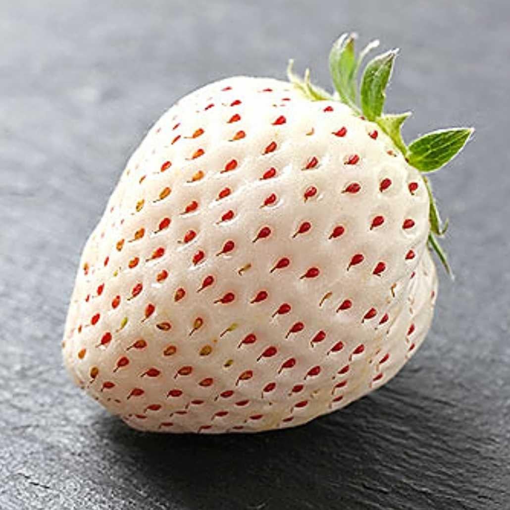 新リトークルーム