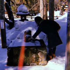 maiko