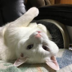 颯人